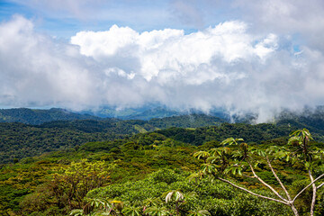 aerial photo of monteverde national park in costa rica, famous cloud forest with unique vegetation, tropical rainforest in the mountains