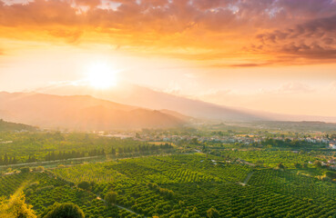 green beautiful valley with gardens and plantations and amazing mountains on background during...