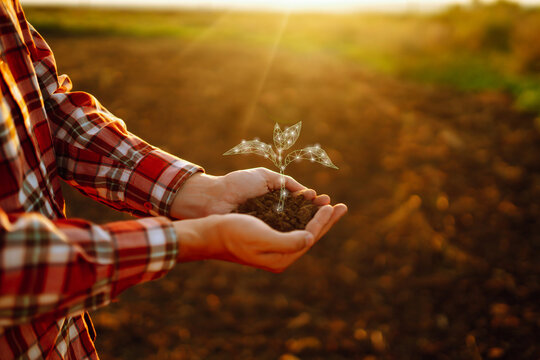 Young plant in hands with soil with graphic concepts. Modern agricultural technology, digital farm, smart farming innovation. Clean and environmentally friendly environment