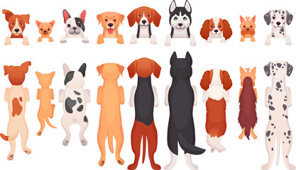 Hanging dogs. Peeking pets front or back border, cartoon standing dog puppies hang head and paw on banner, row looking pet canine faces, peek animals ingenious vector illustration © ssstocker