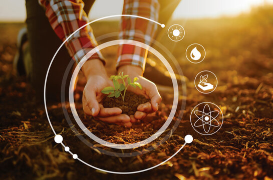 Young plant in hands with soil with graphic concepts. Monitoring the growth of sprougt plants. Modern Agricultural Information Technology Integrate concept.