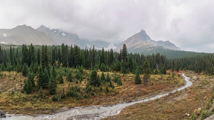 During autumn, looking at Hilda Peak mountain through forest along Hilda Creek from Icefields Parkway at  Saskatchewan River Crossing in Kananaskis Country (Claresholm), Alberta, Canada.