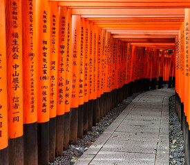 Fushimi, Kyoto, Kansai Region, Japan, Asia - Torii gates leading to main entrance of Fushimi...