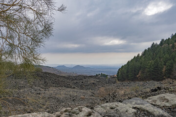 Bosco dell'Etna in Sicilia