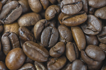 Close-up of coffee beans