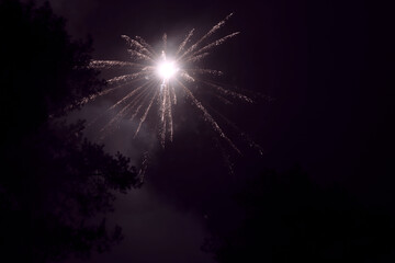 Beautiful bright fireworks on a black background, next to the trees