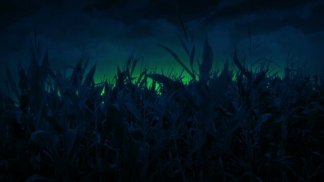 UFO Powers Up And Glows In Corn Field At Night
