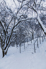 Stairs in the winter park
