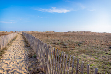 Fototapeta na wymiar Préservation du littoral et des dunes de la Plage du Lido de Canet-en-Roussillon