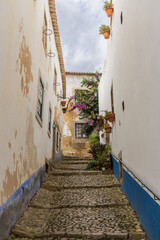 Narrow picturesque street with steps in the city of Óbidos, Portugal