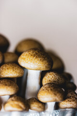 Fresh raw brown shimiji or shimeji mushrooms in a plastic package selective focus. Hypsizygus tessulatus is a mushroom native to East Asia. Vegetarian vegan healthy food plant. Beech mushroom backdrop
