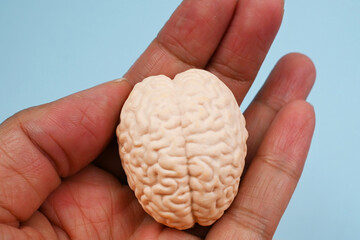 Brian in hand, Brain Basics: Know Your Brain. Health and medical concept