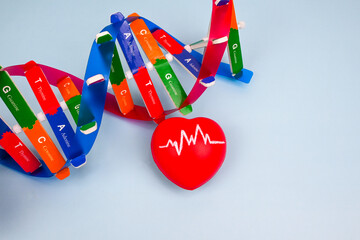 DNA helix structure and heart. DNA, Genetics and cardiovascular disease. How DNA and heart relates. Health and medical, education concept. Design and development of a DNA biobank