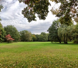 trees in the park