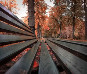 bench in autumn park
