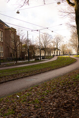 Fototapeta premium 22 December 2022, Amsterdam: Green park in spring season. Streetcar track. 
