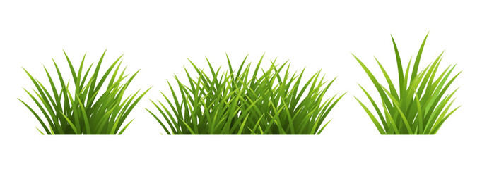 green grass isolated on white