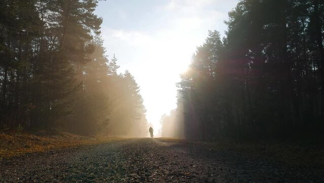 Riding on the gravel bike in the forest