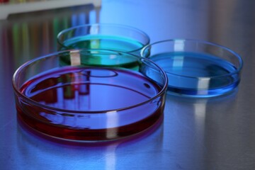 Petri dishes with colorful samples on table, closeup