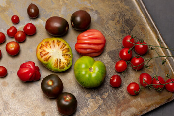 Green, brown and red tomatoes. Branch of cherry tomato.