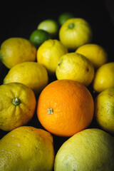 Organic oranges, limes and lemons. Citrus fruits rich in vitamin C and antioxidants