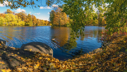 Obraz premium Pond on Elagin Island in St. Petersburg in autumn . Panorama.