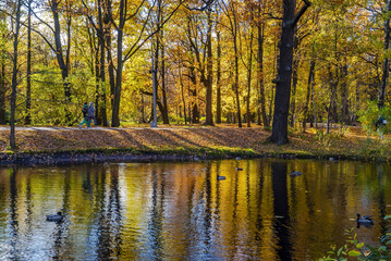 Reflection in the pond on Elagin Island in St. Petersburg in autumn .