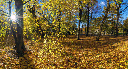 The sun in the branches on Elagin Island in St. Petersburg in autumn .