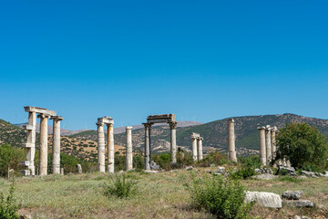 Ruins of the ancient temple of Aphrodite and the church at the ancient city of Aphrodisias. Copy space for text.
