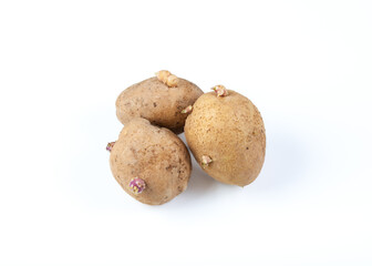 Sprouted potatoes. Potato tubers with sprouts isolated on white background.
