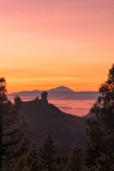 Bonito atardecer con vistas al Roque Nublo entre árboles 