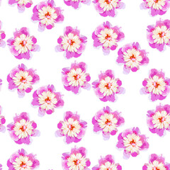 Fototapeta na wymiar Vector pattern flower peony. Flowers illustration. Peony bud.