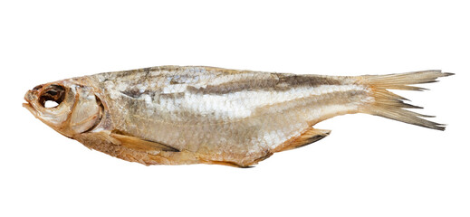 Dried fish Roach. Snack for beer. Isolated object on a transparent background. Element for design and layout