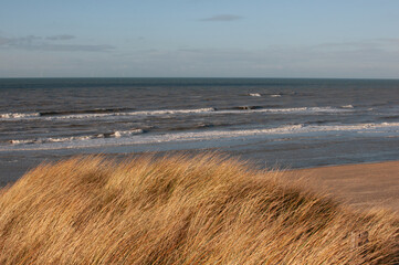 Coast of the North Sea in winter. Sunny day. Province of South Holland.