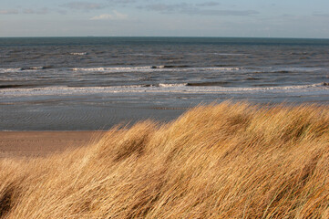 Coast of the North Sea in winter. Sunny day. Province of South Holland.