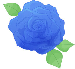 rose flowers romantic composition