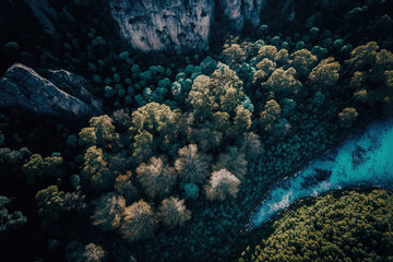 Fototapeta na wymiar Forest landscape aerial photography. AI