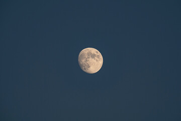 the growing moon in the first quarter with craters on the background of the blue evening sky