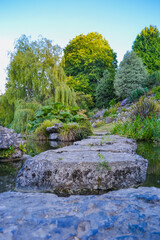 View of the pond with a stone path