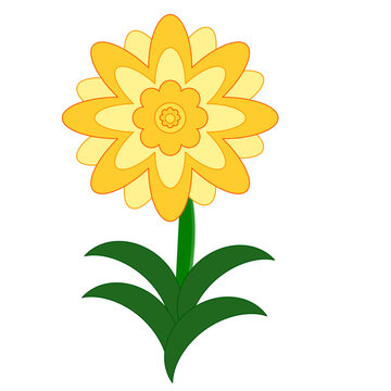 yellow flower illustration isolated on background