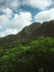 Fototapeten Kauai Hawaii Kalalau Trail  © ElisaPhoto