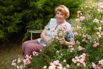 An elderly Caucasian woman is resting sitting in her own garden near a rose bush. Looking into the...