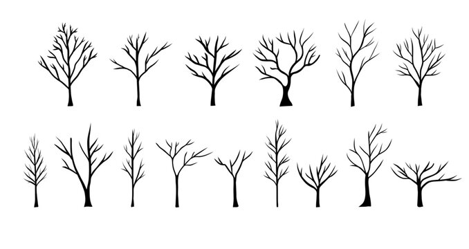 Naked trees silhouettes set. Vector hand drawn isolated illustrations of bare trees.