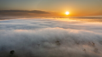 Obraz na płótnie Canvas sunrise in the fog