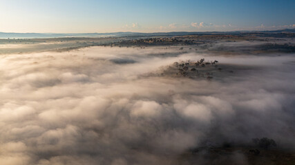 Foggy morning in western NSW