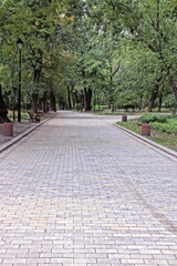 part of an long alley of gray paving slabs among green grass and trees in a park
