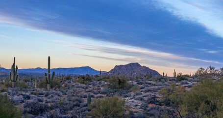 Panoramic Desert Dusk Landscape View Scottsdale AZ