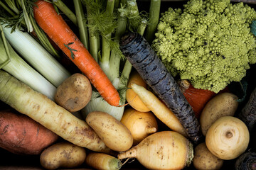 Varité de légumes d'hiver 