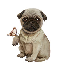Cute pug puppy with a butterfly sitting on his paw