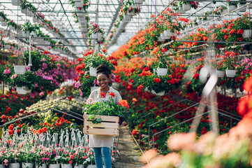 Fototapeta na wymiar African american woman working in a plant nursery greenhouse
